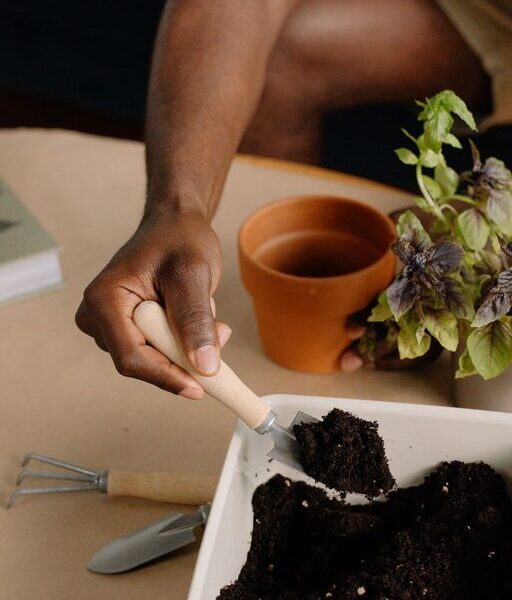 How to Start a Small Herb Garden Indoors: A Beginner’s Guide